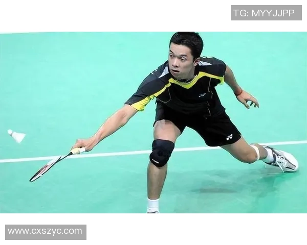 林丹与陶菲克2005年巅峰对决回顾:羽坛传奇的经典之战