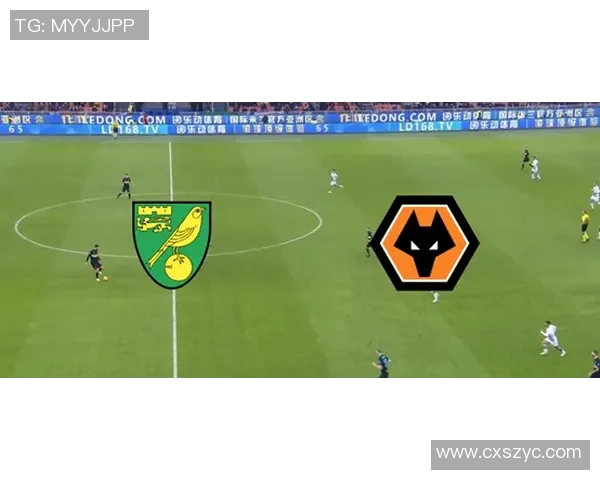 狼队与诺维奇对决分析及比赛前瞻展望